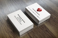 Carte-de-visite-et-logoaa